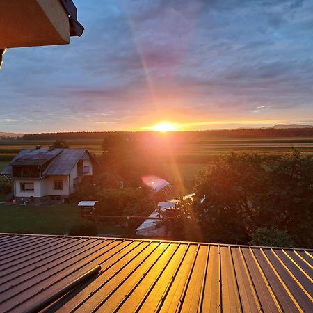 Guesthouse Zivko Dobrovce Екстер'єр фото