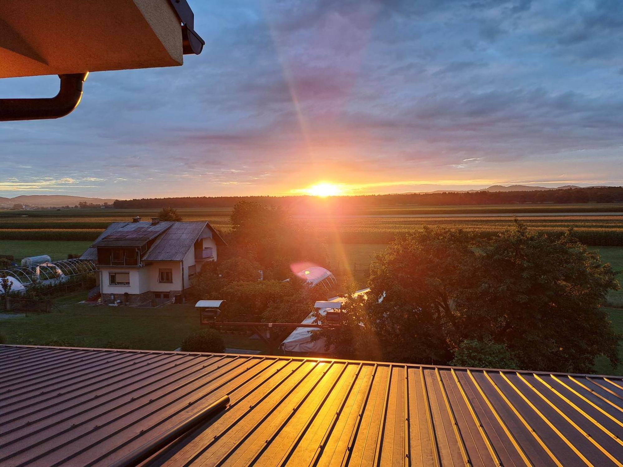 Guesthouse Zivko Dobrovce Екстер'єр фото